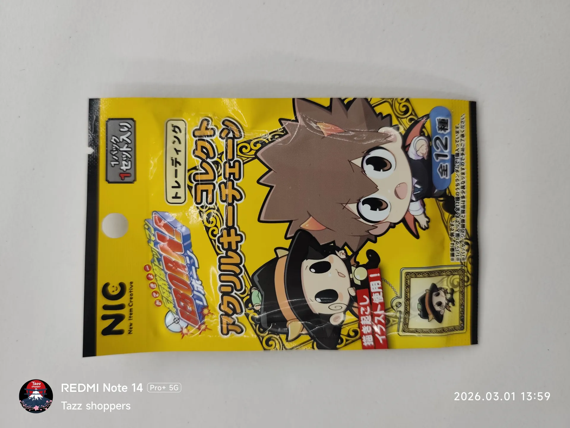 Acrylic Keychain (Llavero acrílico) de Katekyo Hitman Reborn!